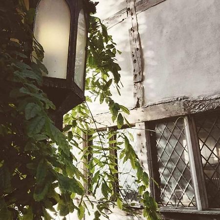 Hotel Roselina Hastings Zewnętrze zdjęcie
