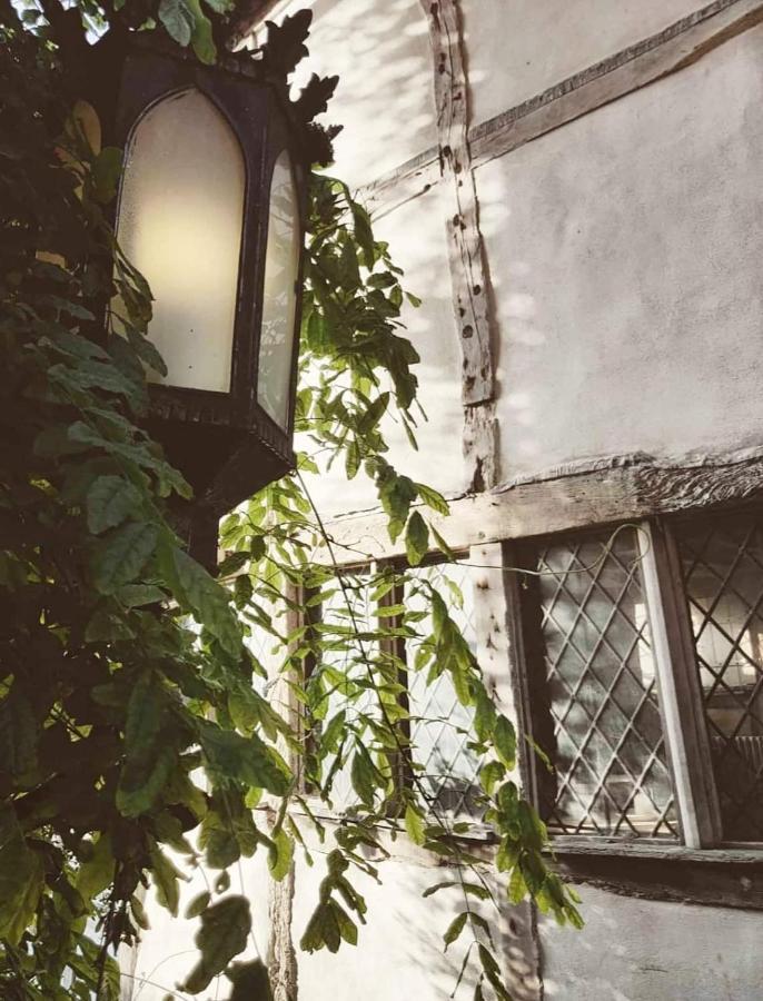 Hotel Roselina Hastings Zewnętrze zdjęcie